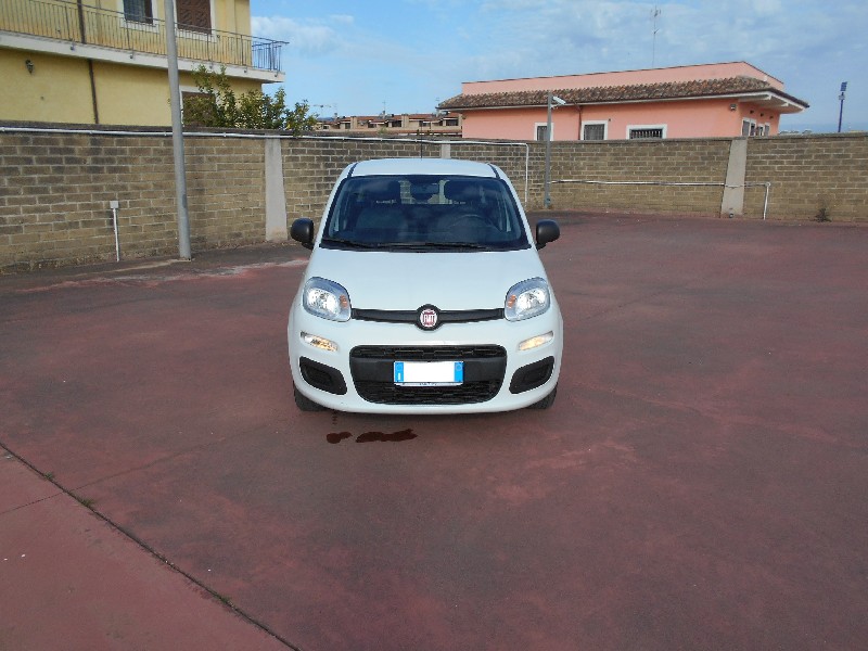Usato Fiat a Ladispoli e Cerveteri - FIAT PANDA 1.2 EASY 69 CV - nome_del_sito